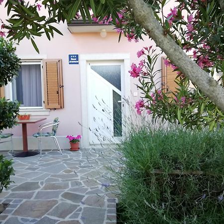 Apartmani Vesna Buje Exterior foto